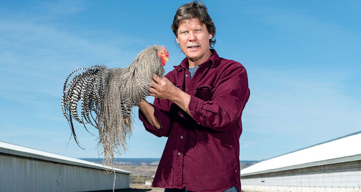 THE WHITHING FARMS STORY