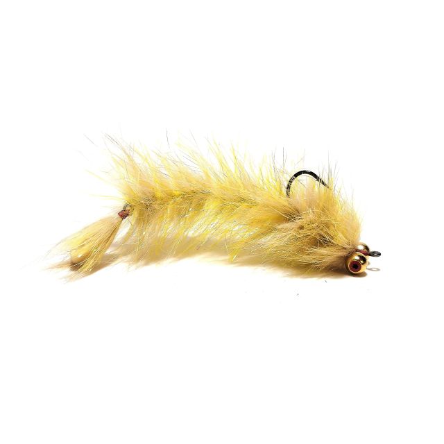 Kapelj JIG